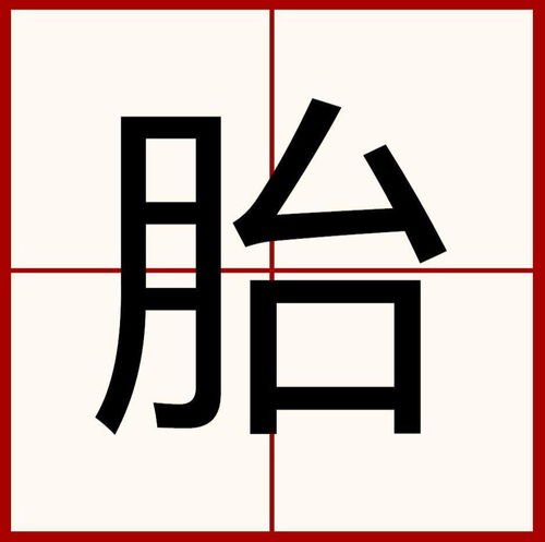 胎