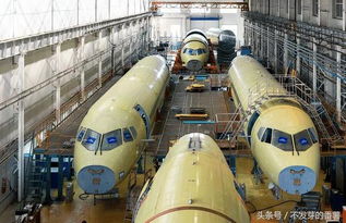 东丰与谐富科技 胎匠服务在胎儿性别检测中的争议与现状