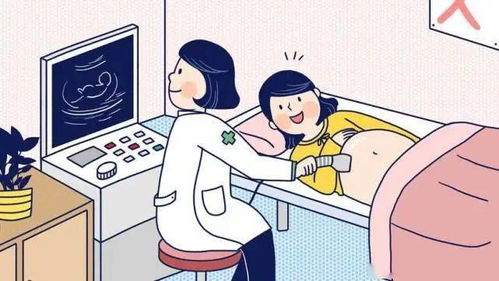 NT检查 胎宝宝排畸的第一道防线，绝不能延迟